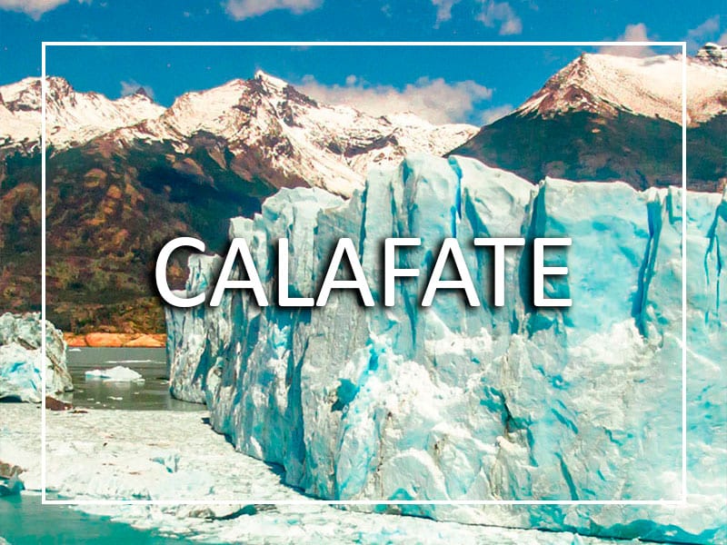 Calafate