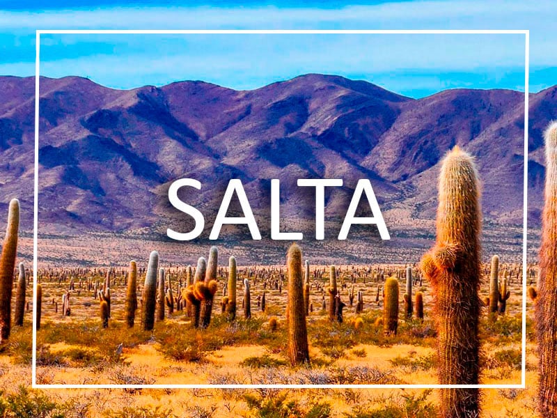 Salta