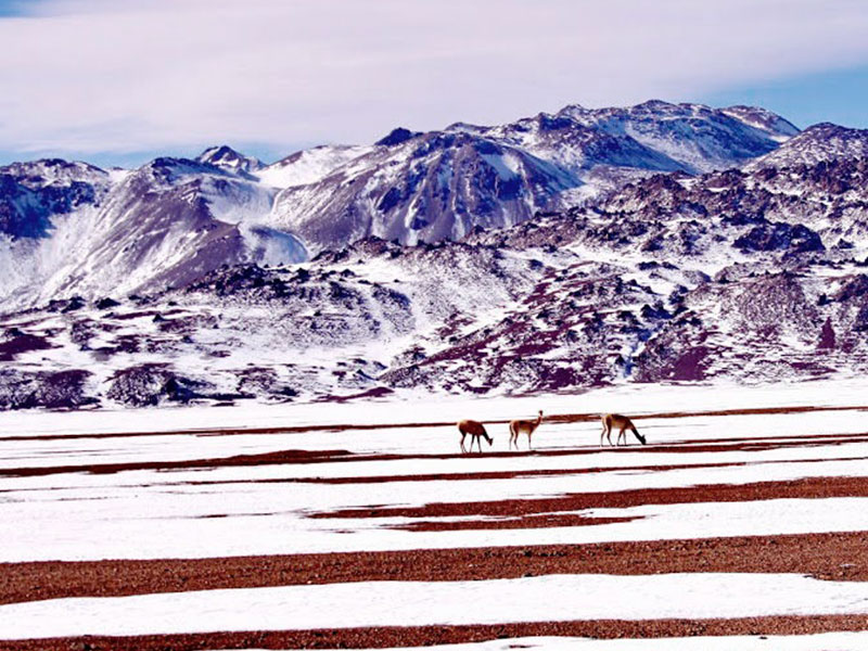 Jujuy salinas