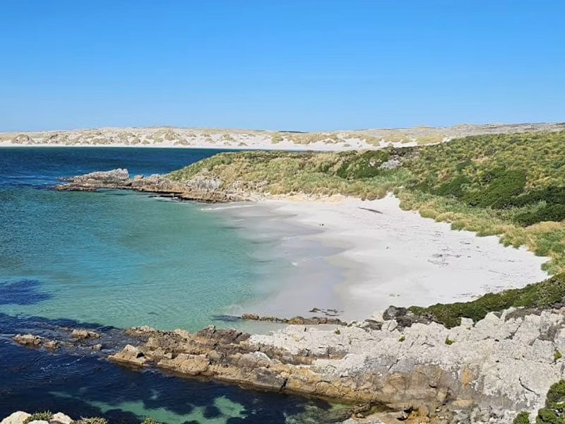 Cruceros-malvinas-cel