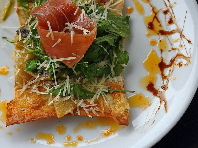 Fauna – Valparaíso